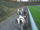 Die Arbeitskolonne beim Verlassen des Stadions.