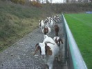 Die Arbeitskolonne beim Verlassen des Stadions.